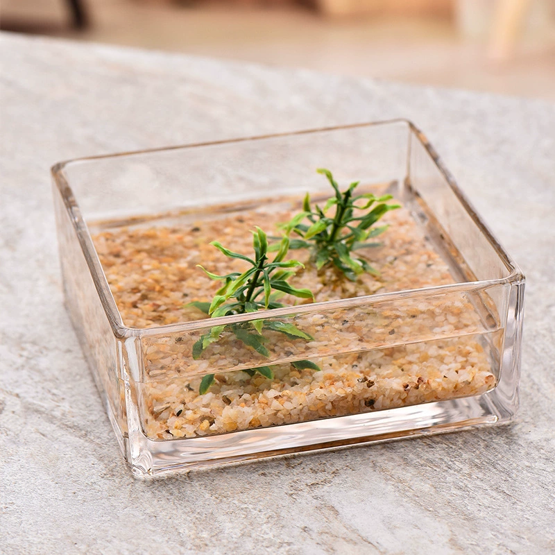 Толстый аквариум с аквариумом, открытый большой мясистый ваза, украшенный стеклянным ковшом, домашний рыбный гидропонный прозрачный