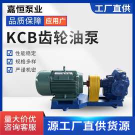 KCB高温304不锈钢齿轮油泵电动大流量自吸泵耐腐蚀液压油泵