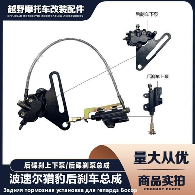 Lower Pump Rear Disc Brake – Other brake systems