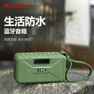 С����W21�{��С��푱�yʽ�����C����C�忨��U�P����C