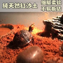 ����|�ļt��ɳ������ɳ�����È@���߲˼t���o�����S���t��
