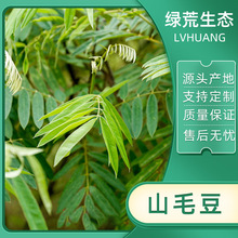 �̹�ľɽë���N�ӹ�ľɽ�N�Ѳ���߅�;G���B�ޏ͹������D����