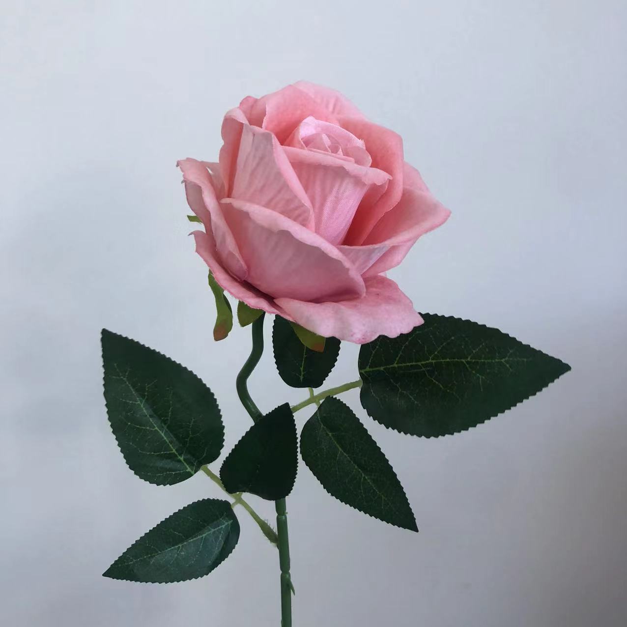 분홍색