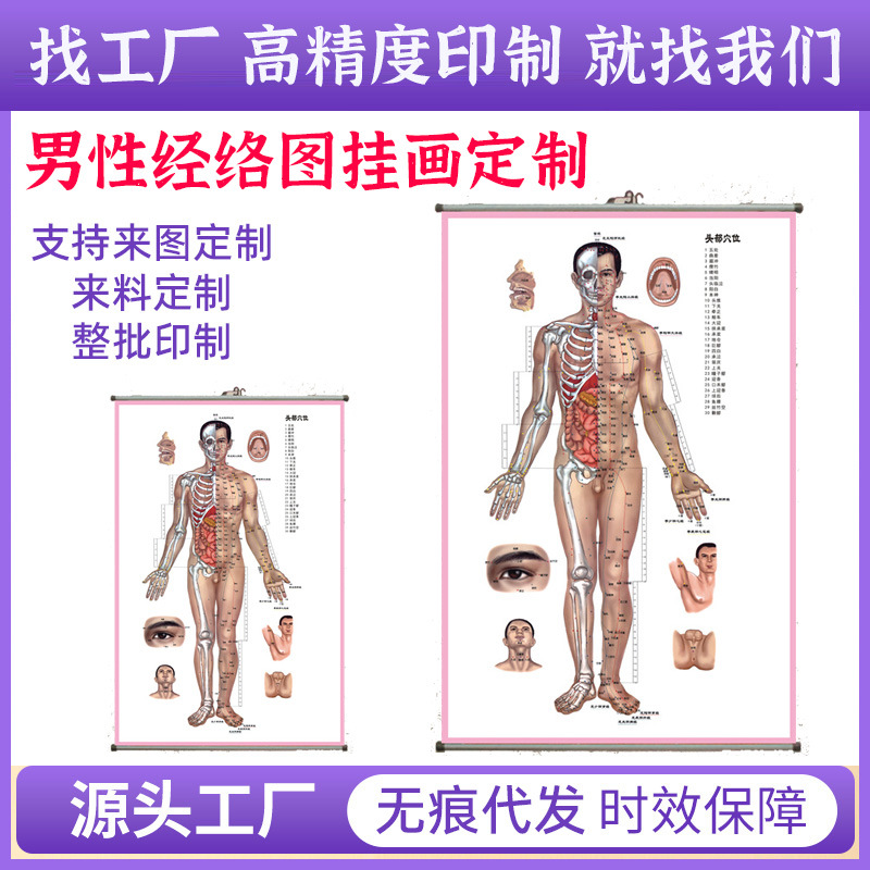 新款男性经络图挂画针灸人体经络穴位图中医养生海报装饰厂家定制