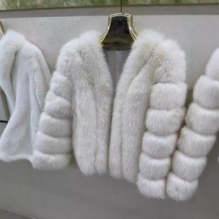 2024�����¿��M����Ƥ����ëƤ��Ů�̿����p��r��V�I����@���|