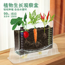 种植盆栽小学生观察植物根系科学实验生长diy培育发芽绿植创意