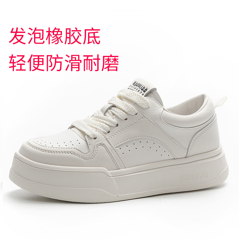 화이트