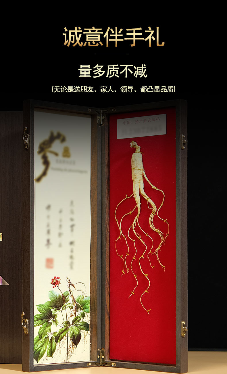 Changbai Mountain Wild Ginseng Gift Box Whole Root 50g Traditional Herbal Gift for Elders quality and texture