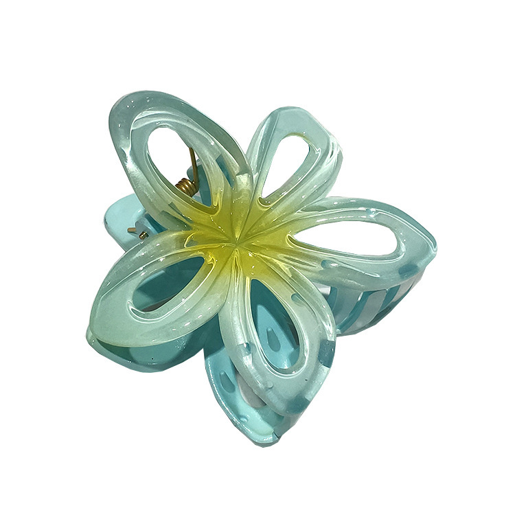 国境を越えたアマゾンの卵の花がグラデーションの花のキャンディー色の紫荊花の後頭部をつかんでサメの花を挟んで髪を伸ばします。|undefined
