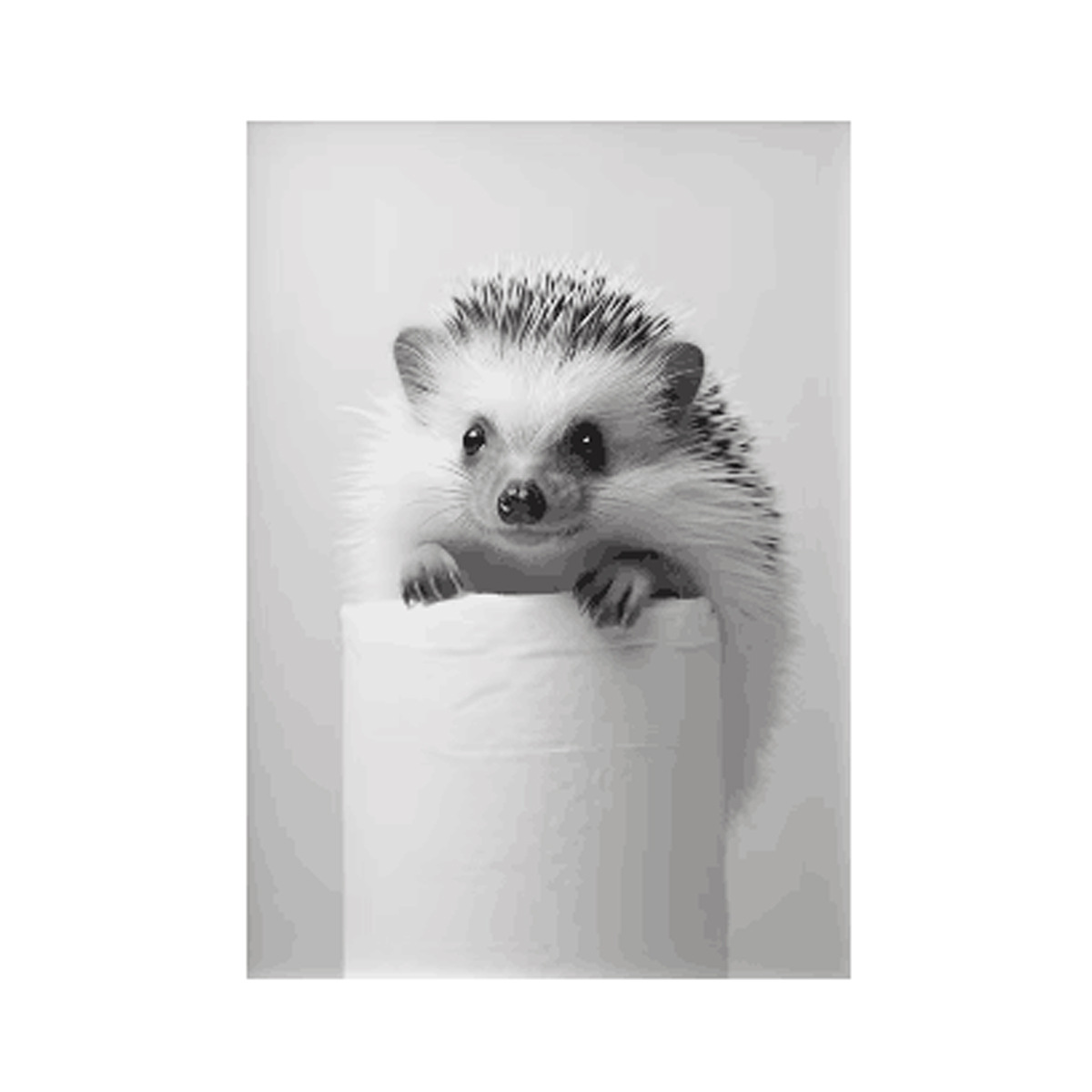 Negro y blanco adorables animales con papel higiénico póster búho perro lienzo pintura de pared arte baño sala de estar decoración del hogar