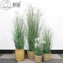 阻燃洋葱草盆栽植物仿真蒲公英假花头人造芦苇草室内装饰绿植摆件