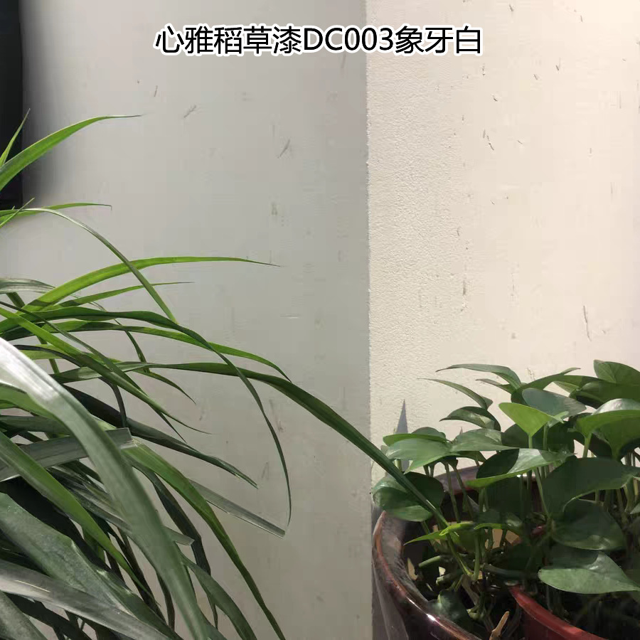 象牙白稻草漆    工厂批发   室内外墙面通用肌理漆