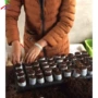 育苗可降解无纺布容器成型机