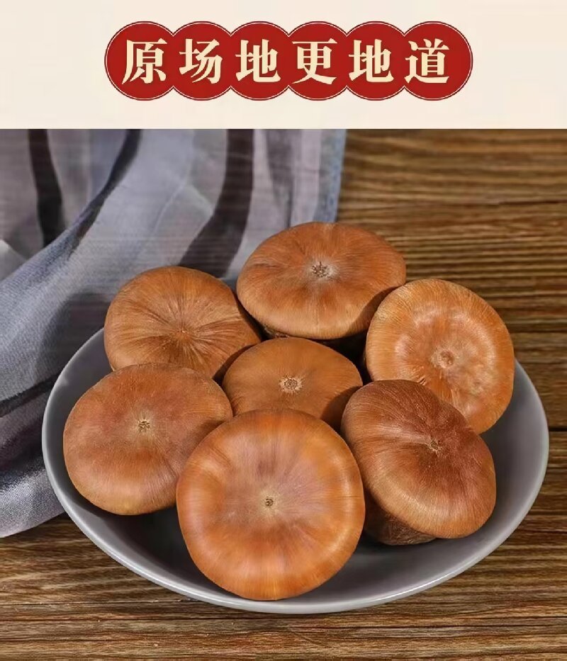 Feng Liu Guo (Lithocarpus/Sclerophyllous Oak Fruit) — Dried Food Herb for Wine Infusion & Soup key features