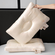 2025�¿���ؔ�M����z�q���^��о���Q�z�������o�i������