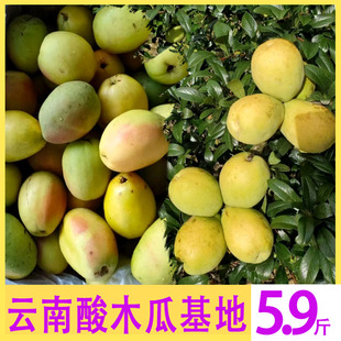 �����ľ�����l���r��ľ�ϴ�������{ζ�����Sľ�ϾGľ�����l���l