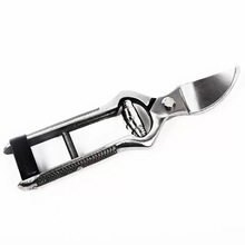 ���P���֦�������^���@ժ�����仨֦�޽ӈ@ˇ֦�l�@�ֹ���