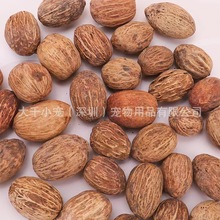 ���ľâ�� �B���������Ϲ���ֲ��ɹ��b���Ȼ�ɻ��bzӰ��