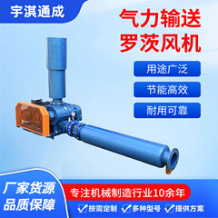 气力输送罗茨风机三叶罗茨增氧机22Kw反冲洗污水处理 罗茨风机