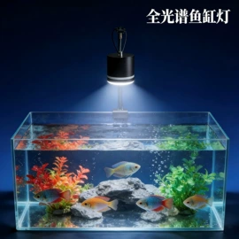 装饰台灯;水族照明设备;宠物周边用品
