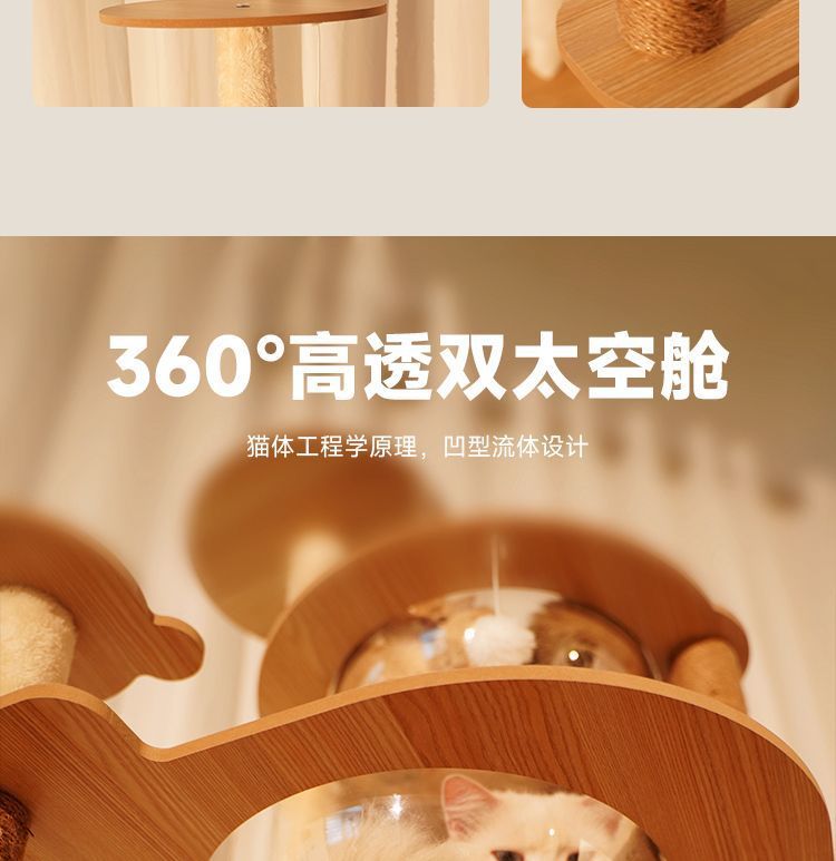 5a4c2fae-bf84-466b-ac0b-ac7b64df3777.jpe