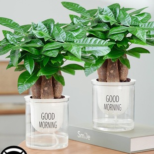 �lؔ��С�����k���ҾG�}�jˮ��Gֲ����ֲ���҃Ȼ������ļ���ˮ�B