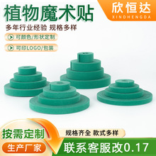 ֲ��ħ�g�N�����p����ճ�@�־Gֲ���٘�֦�̶���������ħ�g�N����