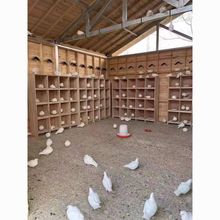 Mϳ䌍ľِ̖䌦̨\ľ\