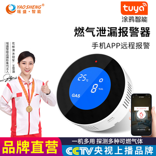 Gas Alarm Wifi Wireless Home Kitchen Gas Natural Gas Liquefied Gas Combustible Gas Leak Detector