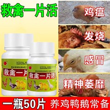 �u���B�uș�u����ð������ϡ�����u���Z����uș��ș�����ϼ�