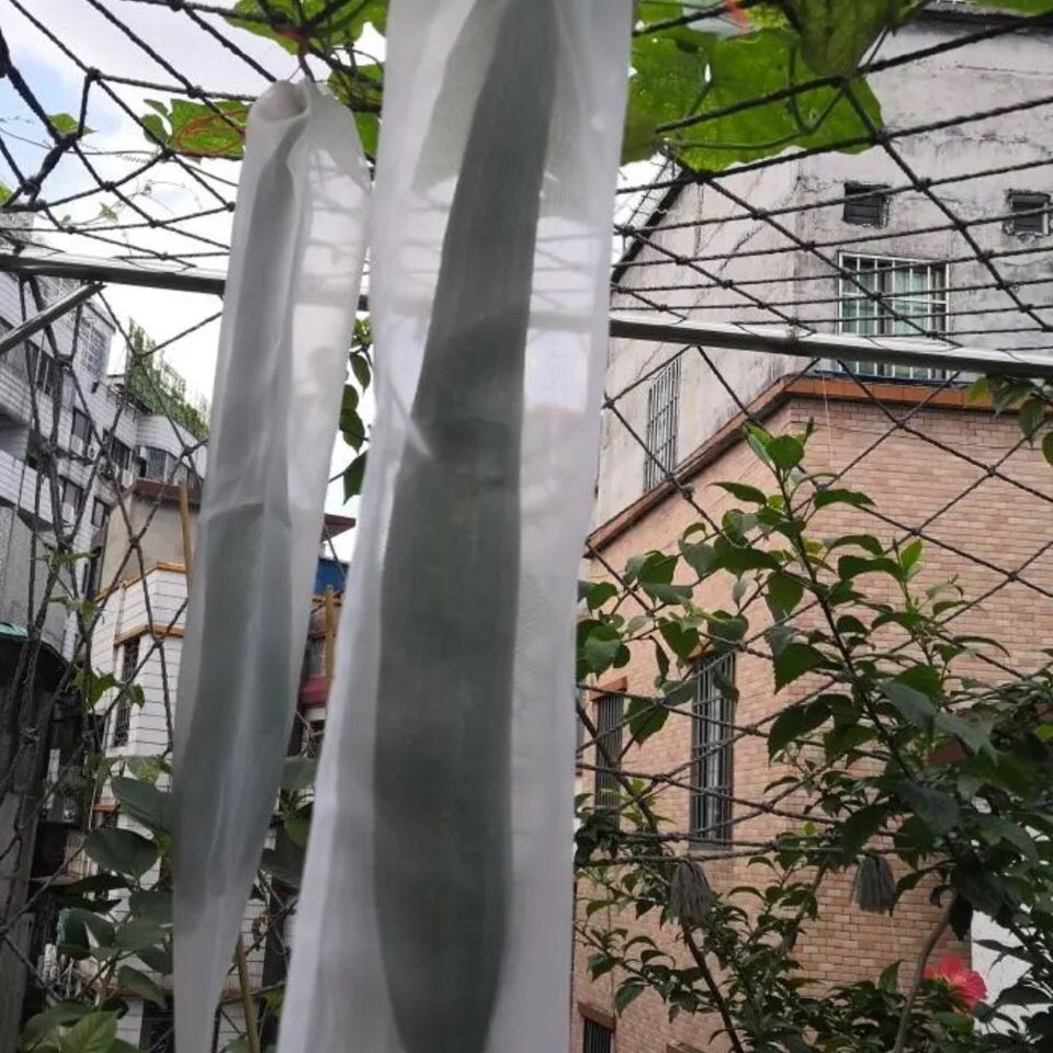 瓜果防虫袋防果蝇针蜂套袋丝瓜黄瓜苦瓜葡萄番茄尼龙网袋100目