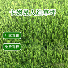 �S��ֱ�N�����ƺ�����\�Ӳݑ����̨�b����ϾG�݉|���l�����Ƥ