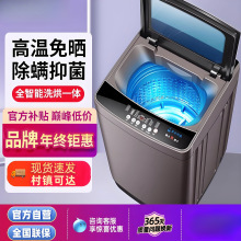 全自动洗衣机波轮12kg大容量家用出租房静音洗脱一体带烘干变频