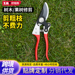 ������֦�����䌣�ü����r���@ˇ�����P䓼���֦�G���޽ӈ@�ּ���