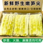 竹笋新鲜嫩笋尖野生春笋笋子清水小竹笋罗汉笋串串笋商用火锅笋
