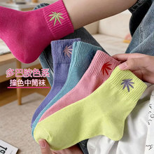 �T���m��Ů�ﶬ������Ͳ�m��Ͱ����~�̽����������ǹ�ɫŮ�m���l