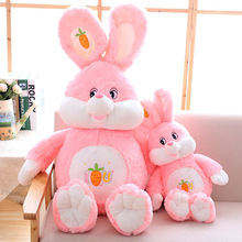 �ɐ۷�ɫ���}��������ë�q��߹��� �ͺ��ӶY�����l�ؔ�ҹ������