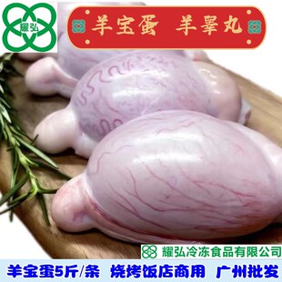 ����5��/�l ��������Ҝ� ���� �� ��غ�� �V�����l
