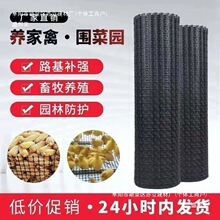 拦鸡网加厚养鸡鸭围栏塑料网养殖网胶圈地菜园防护网玉米网格栅无
