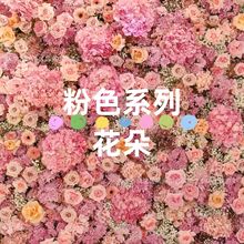 ɫϵлc廨˹ٲ·ҾӔ[