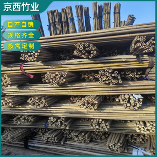 Supply bamboo pole frame wax gourd bamboo bean tomato climbing cane pole inserted pepper bamboo pole vegetable frame bamboo