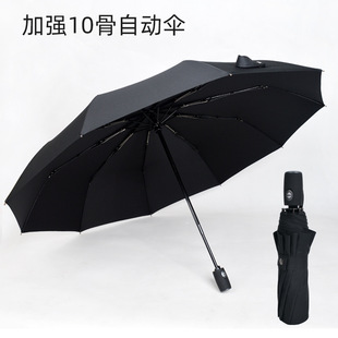 10��ȫ�Ԅ��_���ۯB���p����������̄����ӏ����L�Ӻ�б�y�㲼