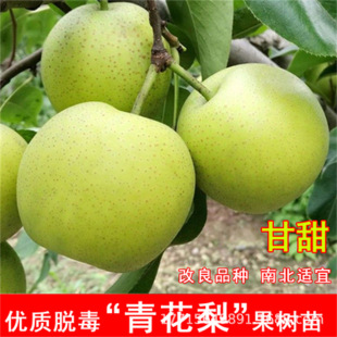 �໨�����޽ӹ������Ϸ������Nֲ���¼t����ԷNֲ�ش������Y