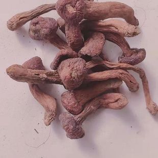 Ұ���tĢ��Ģ�ɘ��Ģ��Ȼ����ɸ�؛��؛�|���خa�YƷ�Ƶ������l