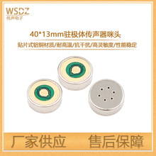 4013�NƬ�G�����^ ���������͸ߜػ������ɔ_����MIC�����L���^