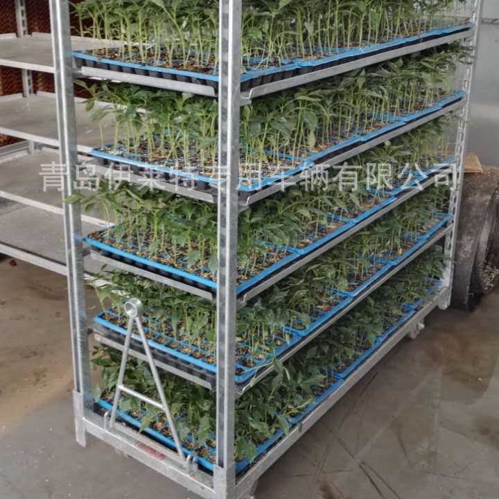 厂家直销  鲜花运输周转车 方便 省力 拖拉系统 拉板网工具育苗台