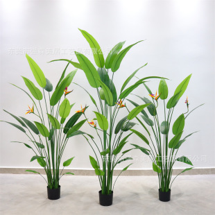 zƬ~Gֲ˽˽B͏dؼ٘Ž