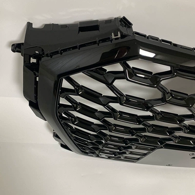 Audi Q3 Grille Models 19, Zhongwang