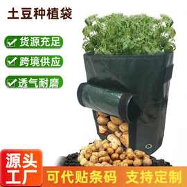 土豆种植袋 种植袋 土豆袋蔬菜水果番茄美植袋种植袋 PE土豆种植