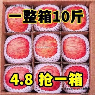 ����Ǯ���ˮ���Ĵ��崨�t��ʿ�O���������r��10���]�Ї��������